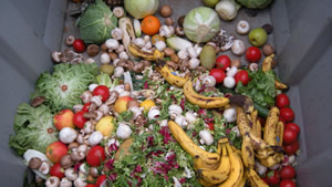 2025年厨余垃圾处理器排行榜：2025年厨余垃圾处理器选购指南：谁是真正的“中餐克星”？